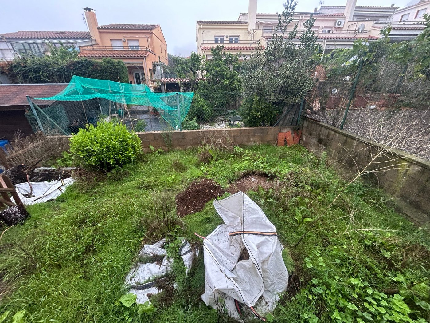 Hort abandonat amb herba alta abans de començar