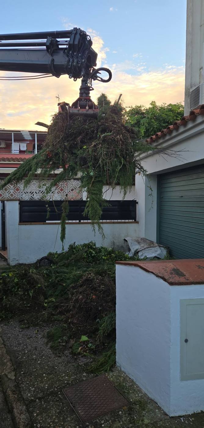 Grua carregant les restes de la feina al camió