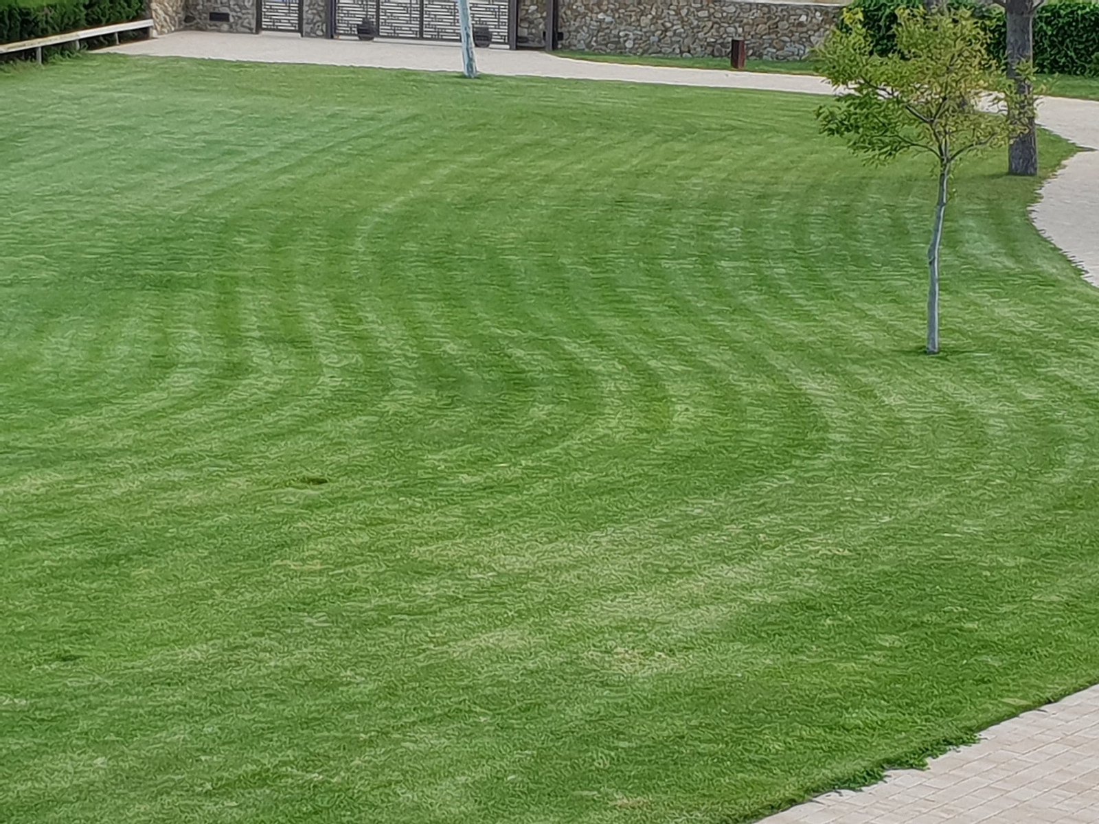 Gespa acabada de tallar en un jardí a la província de Girona