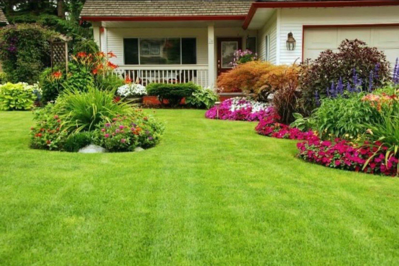 Jardí dissenyat davant d'una casa, amb gespa i parterres de flors