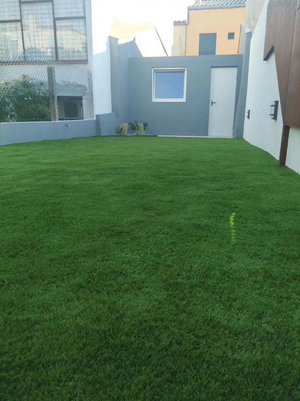 Pati amb gespa nova