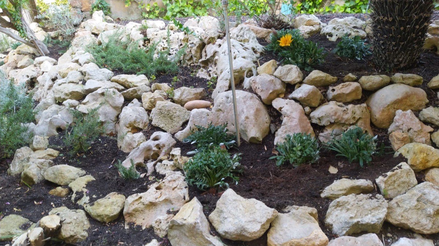 Rocalla amb plantes