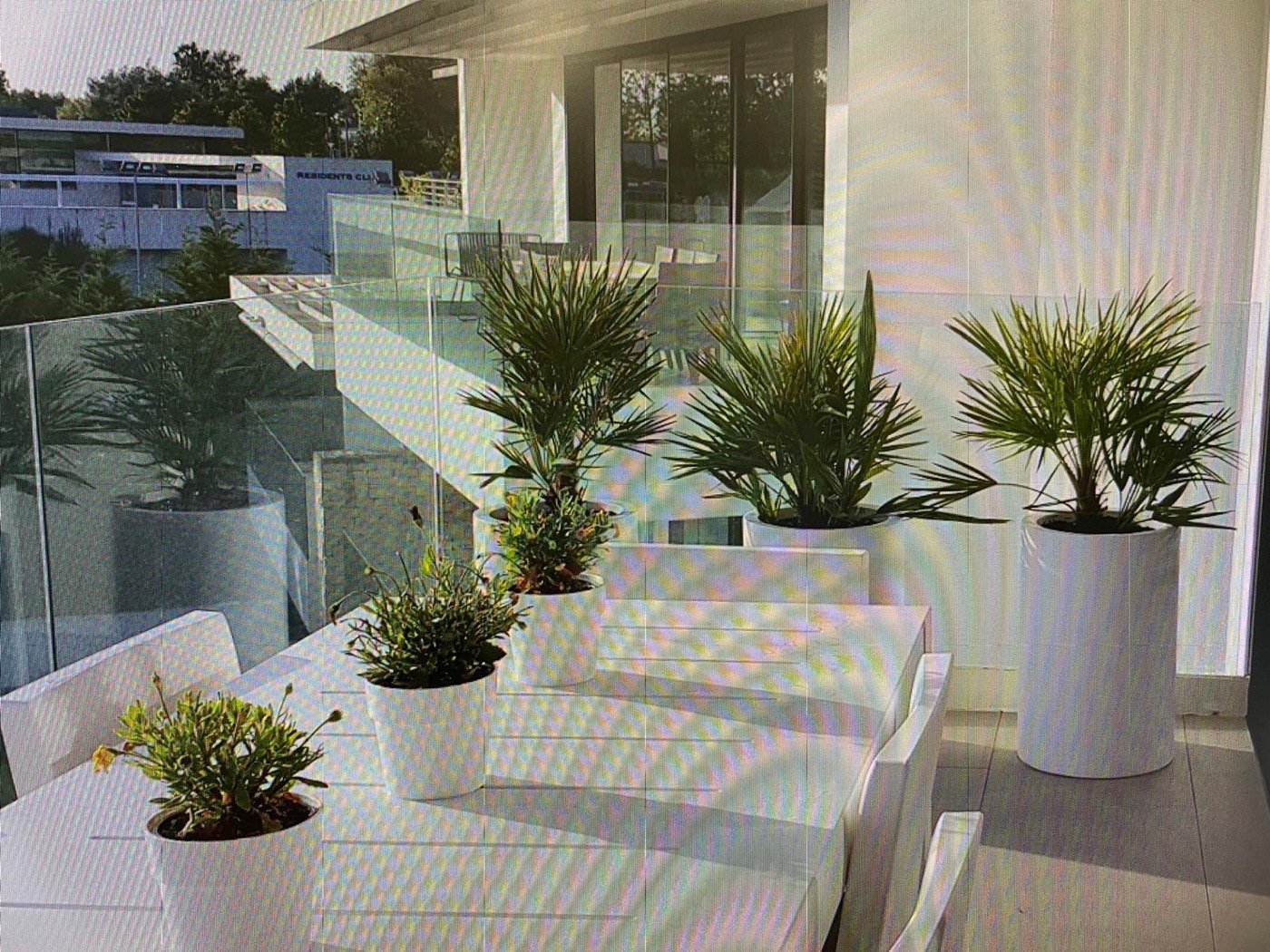 Terrassa amb jardineres i plantes en un àtic